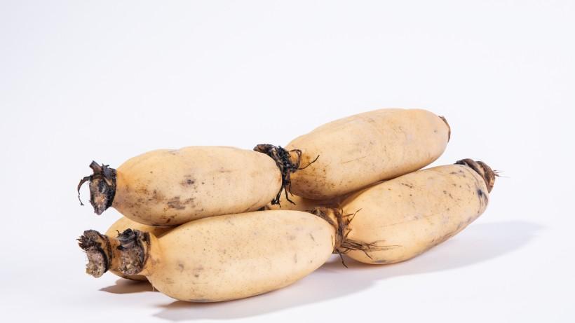 买莲藕时，怎么区别粉藕跟脆藕种藕人教你3招，一挑一个准