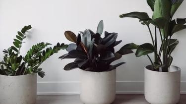 淘宝|淘宝店企业店铺开店流程是什么？要多少费用？