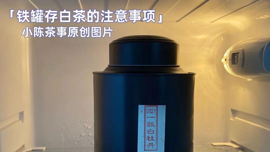 牙痛|绿茶和清香型铁观音要放冰箱，白茶也要吗？哪些茶不适合放冰箱？