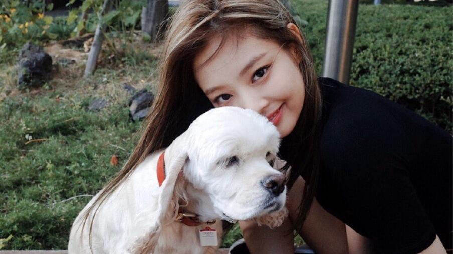 金智妮|因黄大宪卷入舆论纷争，Jennie粉急忙澄清真相：是被道德绑架了