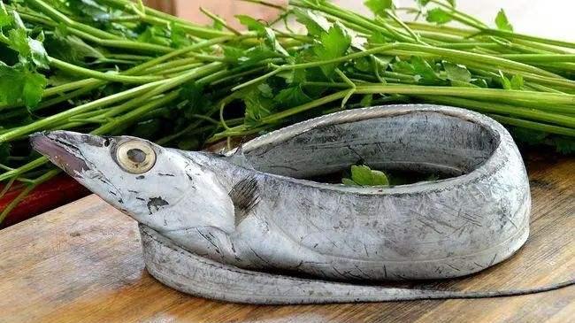鲤鱼|大年初一吃哪种鱼，寓意最好? 大厨: 就吃这4种鱼，实惠美味寓意好