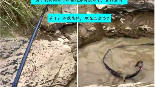 |骑虎难下！男子钓鱼钓到2米长眼镜王蛇，网友：下辈子别钓了