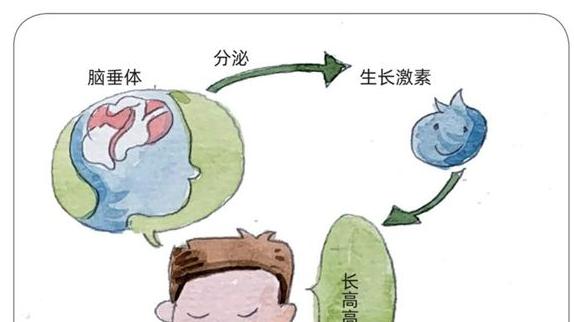 运动 减肥太累想放弃？激活“它”，或许可以再瘦10斤