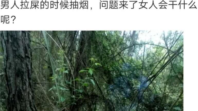 |“男人解手的时候抽烟，女人解手的时候干什么呢？”