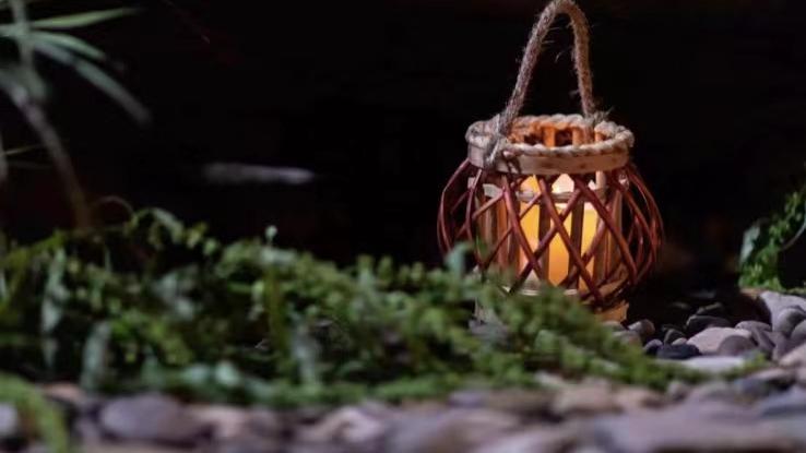 花儿与少年|7位艺人集结《花儿与少年》第四季 发现141公里内的旅途美好