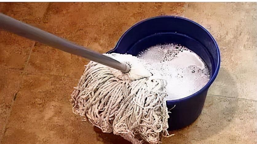 室内满是“飞尘、毛絮”？老保姆支个招，毛絮自动消失，贼实用！