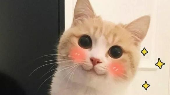 冬日饮品该喝什么呢？