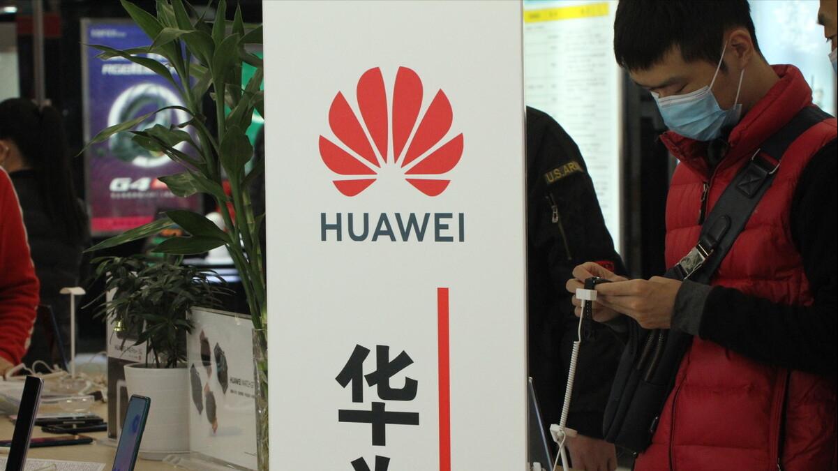 华为|加方以“安全”为由，将华为拒之门外？我们才刚解除其菜籽限制