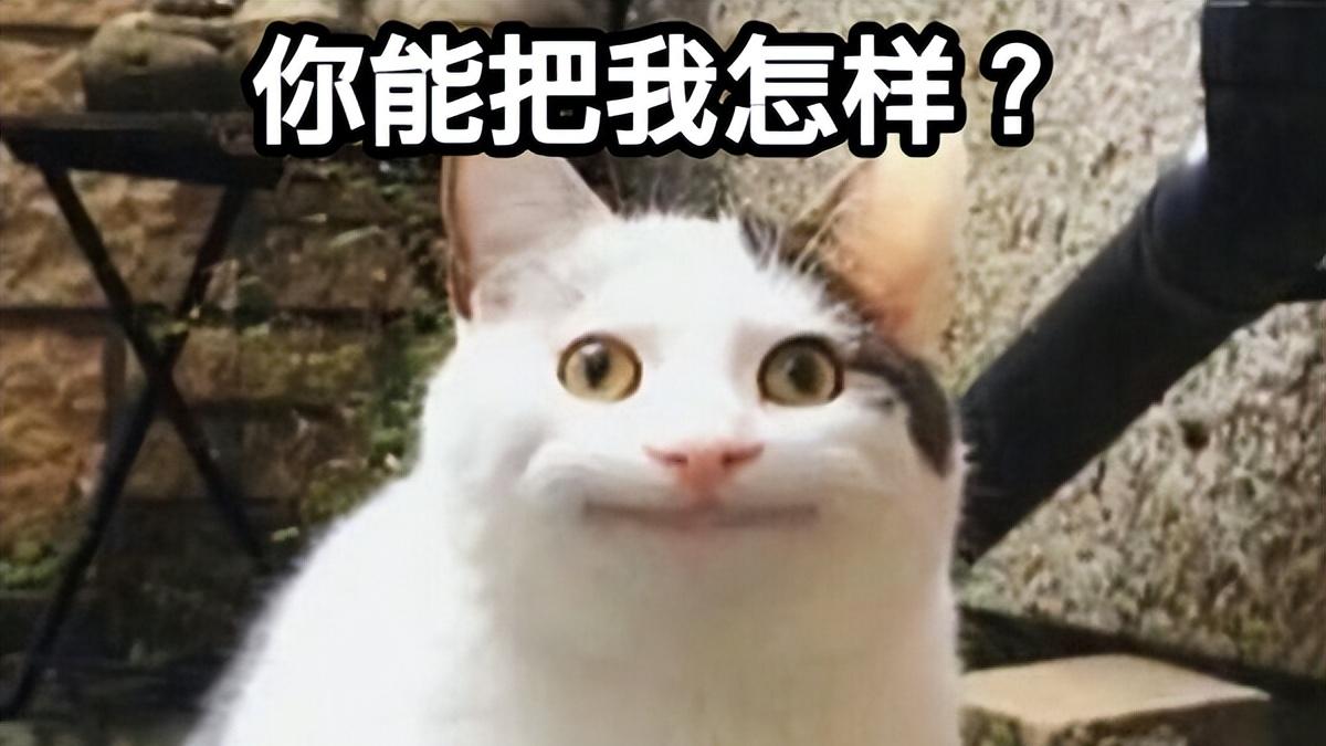 vivo|腾讯把vivo告上法庭，就因为被断了财路？