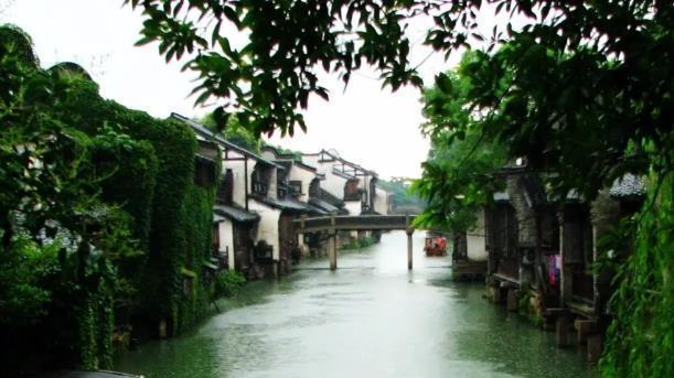 荷花|江南烟雨初相识，碎了一地柔情