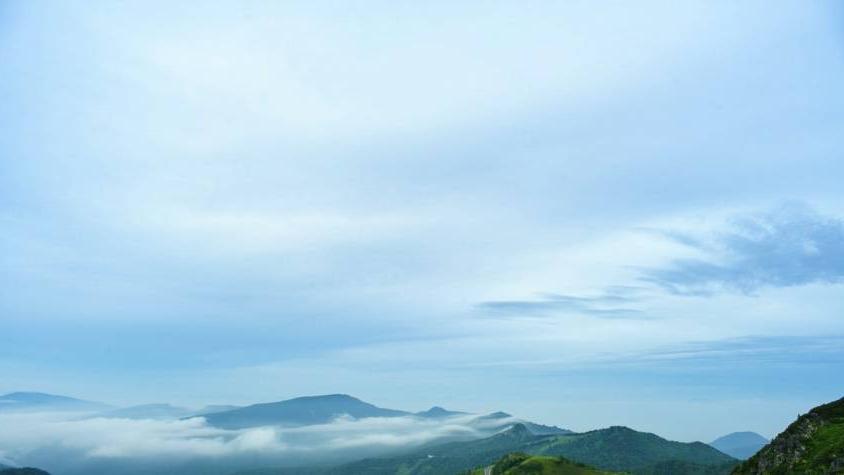 零售业|家电厂商的见缝插针与争分夺秒！