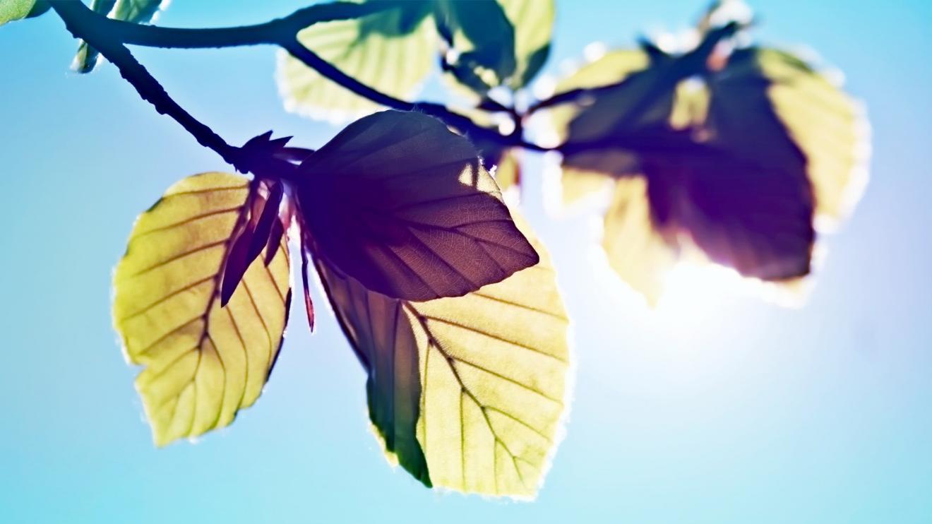 |男性的优秀程度，和母亲的爱有关