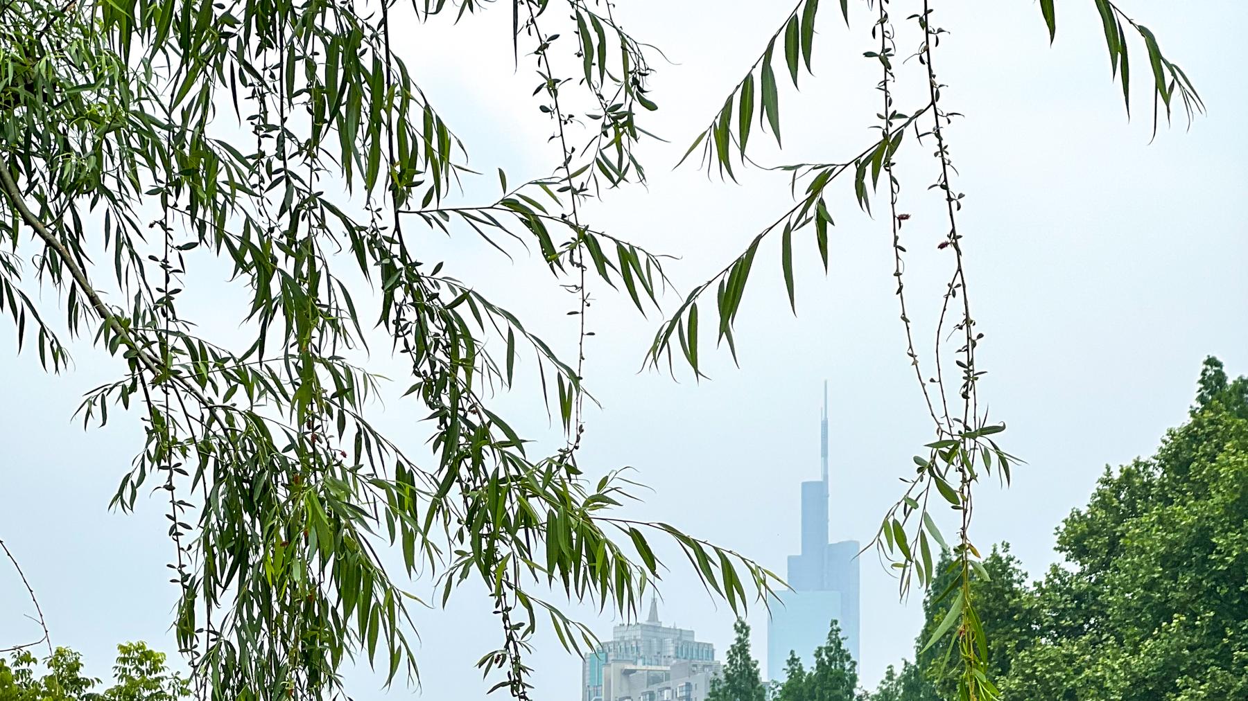南京|南京被忽略的公园，面积不大景色却十分秀丽，很多本地人都不知道