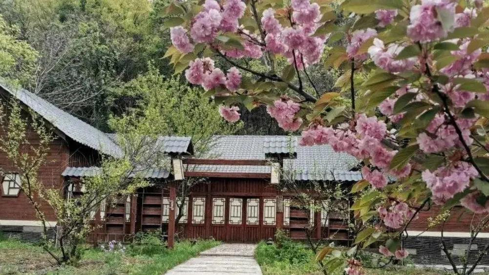 河南旅游|河南旅游：早春出游看这里！约一场美妙的春日旅行吧