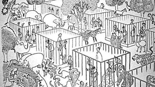 莫莉|突传噩耗！大明星沦为阶下囚，刺痛半个中国：她的近照，我不敢看