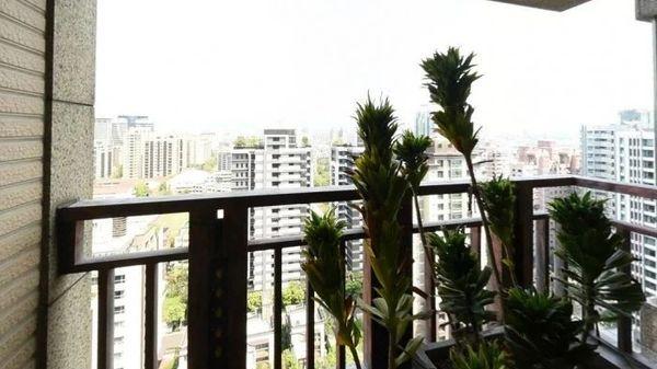 |大S汪小菲4点9千万昔日爱巢曝光！百坪豪宅亮点「客厅有2颗树」