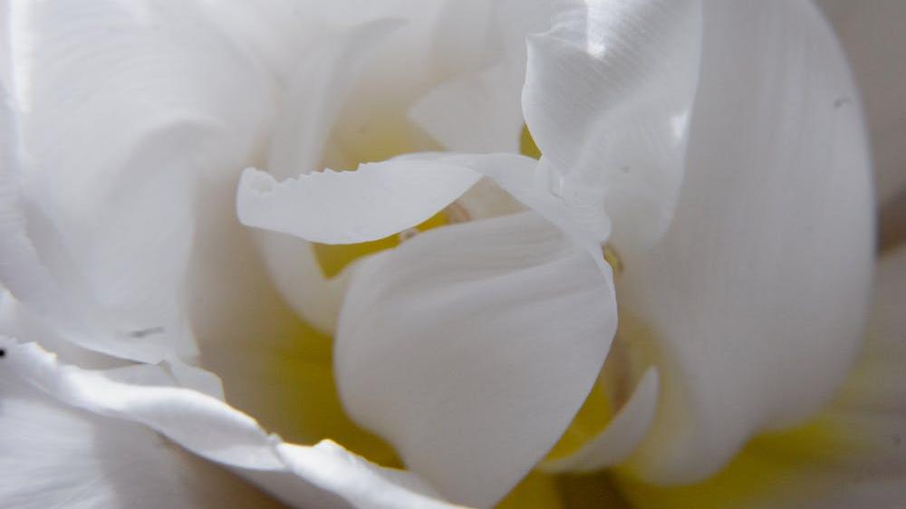 水果 妻子沉迷美容竟花光60万积蓄！丈夫起诉离婚并要求经济补偿！