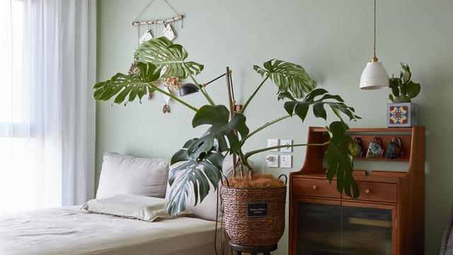 巧妙的浅绿色，让家变得更加自然，点亮生活温暖家人