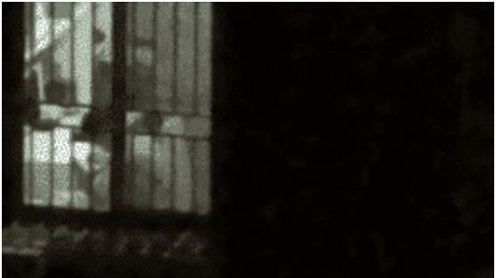 3女租客不穿衣服不拉窗帘，遭房东和邻居投诉，女孩解释：屋太热