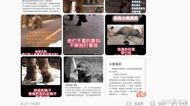 莫莉|太突然了！大明星沦为阶下囚，刺痛半个中国：她的近照，我不敢看