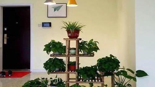 晒晒新房，来过的亲友们看了都说，头一次见客餐厅这样做隔断！