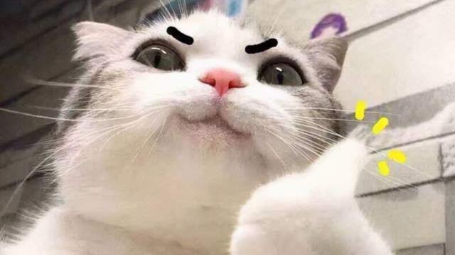 一梦江湖“装修工”感动落泪，宅邸装修新功能太实用了！