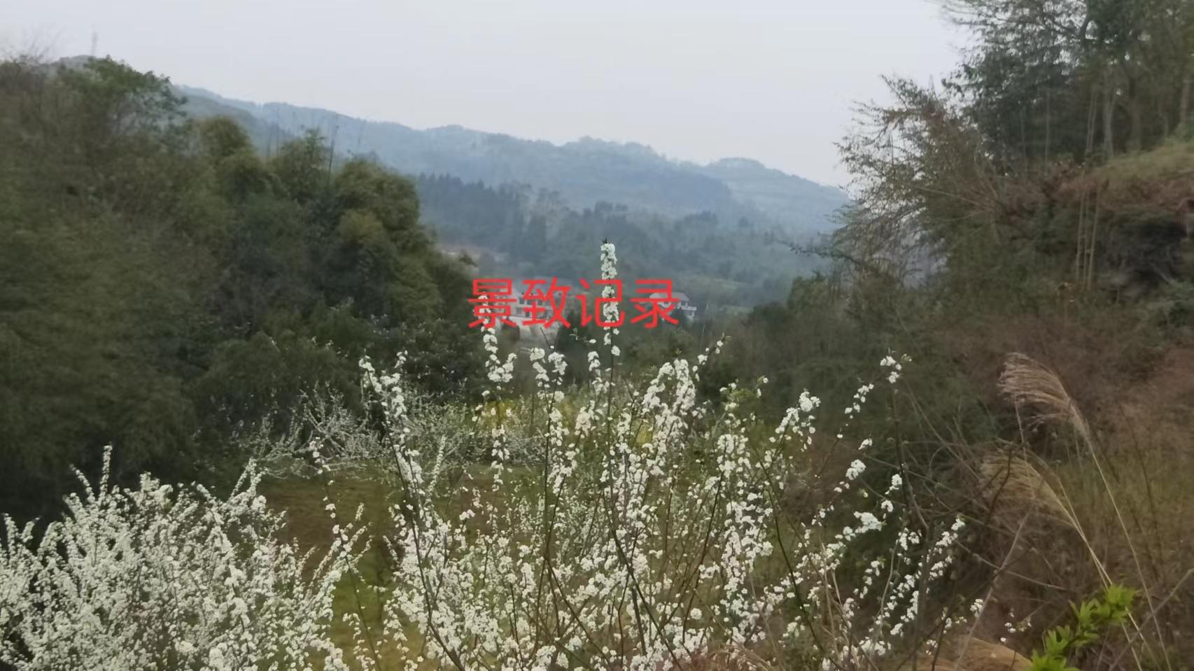 徐霞客|景致记录：徐霞客寻找的犀牛岩，明朝时在广西麒麟村，如今在哪里