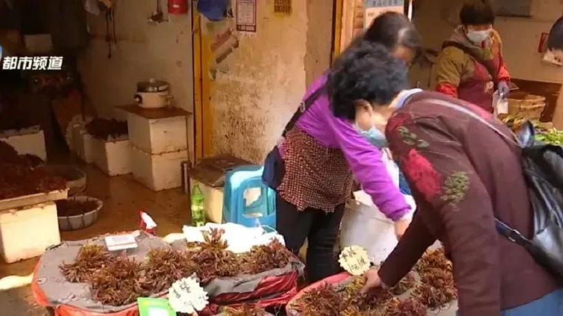 面包|抓住小尾巴！部分春季野菜即将落潮，吃货得抓紧时间啦！