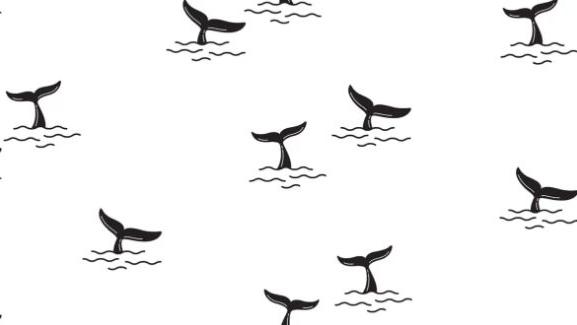 鲸鱼|什么是在线捕鲸或鲸鱼网络钓鱼攻击？