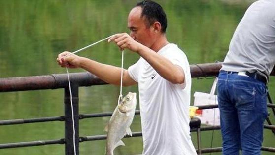 汉城湖|陕西的钓鱼人注意啦！此地可以垂钓却不能吃，钓友：多此一举