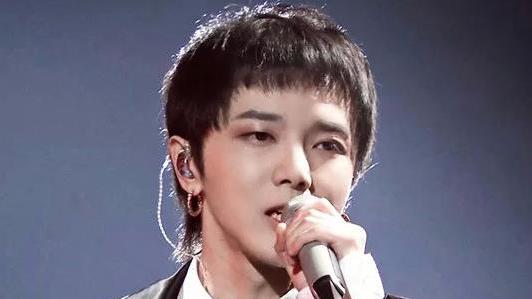 王珞丹|四大天王没他不行？那些被乐坛高估的歌手，华晨宇榜上有名