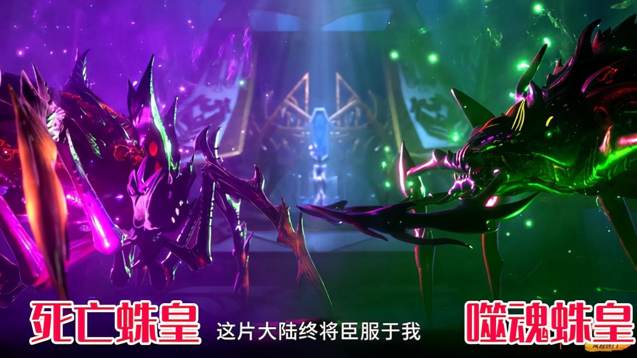 蜘蛛|斗罗中六大蜘蛛战力排行榜，人面魔蛛实力第三，两位蛛皇高居榜首