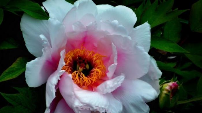 |懂得换位思考，职场上一路绿灯