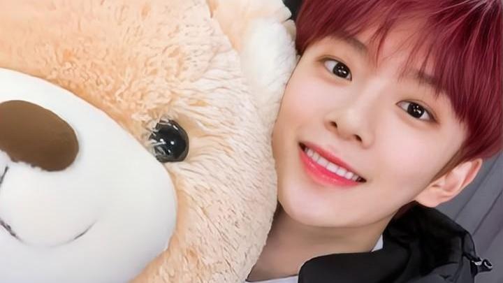 |4位韩国明星坦言不想上学，所以选择出道！