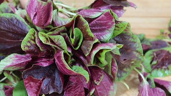 蔬菜|立秋后，记住4种钙含量比较高的蔬菜，多给孩子吃，充分补钙