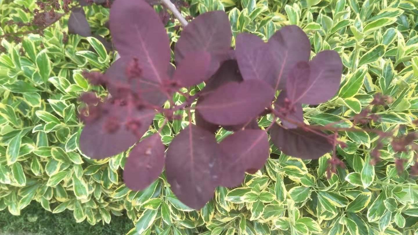 |最容易发生婚外情的十种情形。