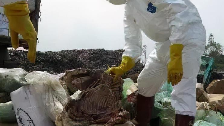 甲醛重金属超标，毁肠胃还致癌，315最该曝光的乱象，能有多恶心