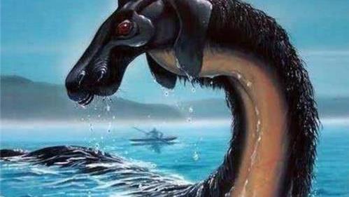百年出现3次的水怪，却在鲸鱼肚子中发现，专家：原来它真的存在