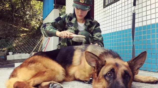 张馨予|最美军嫂的逆袭之路，每一步都让人羡慕，却没人关注冬天穿纱裙