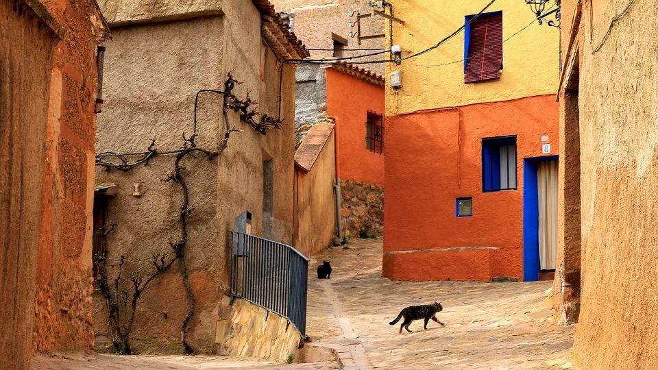 |明天真的会更好吗？