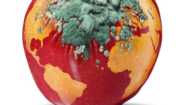 肝癌|全球新发肝癌患者一半是中国人，主要“元凶”或有4个，注意避开