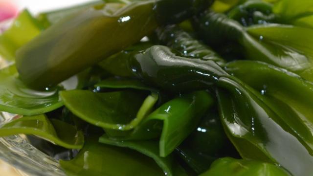 口臭|为什么早上起床口臭严重？睡前保持这几个好习惯，有助于预防口臭