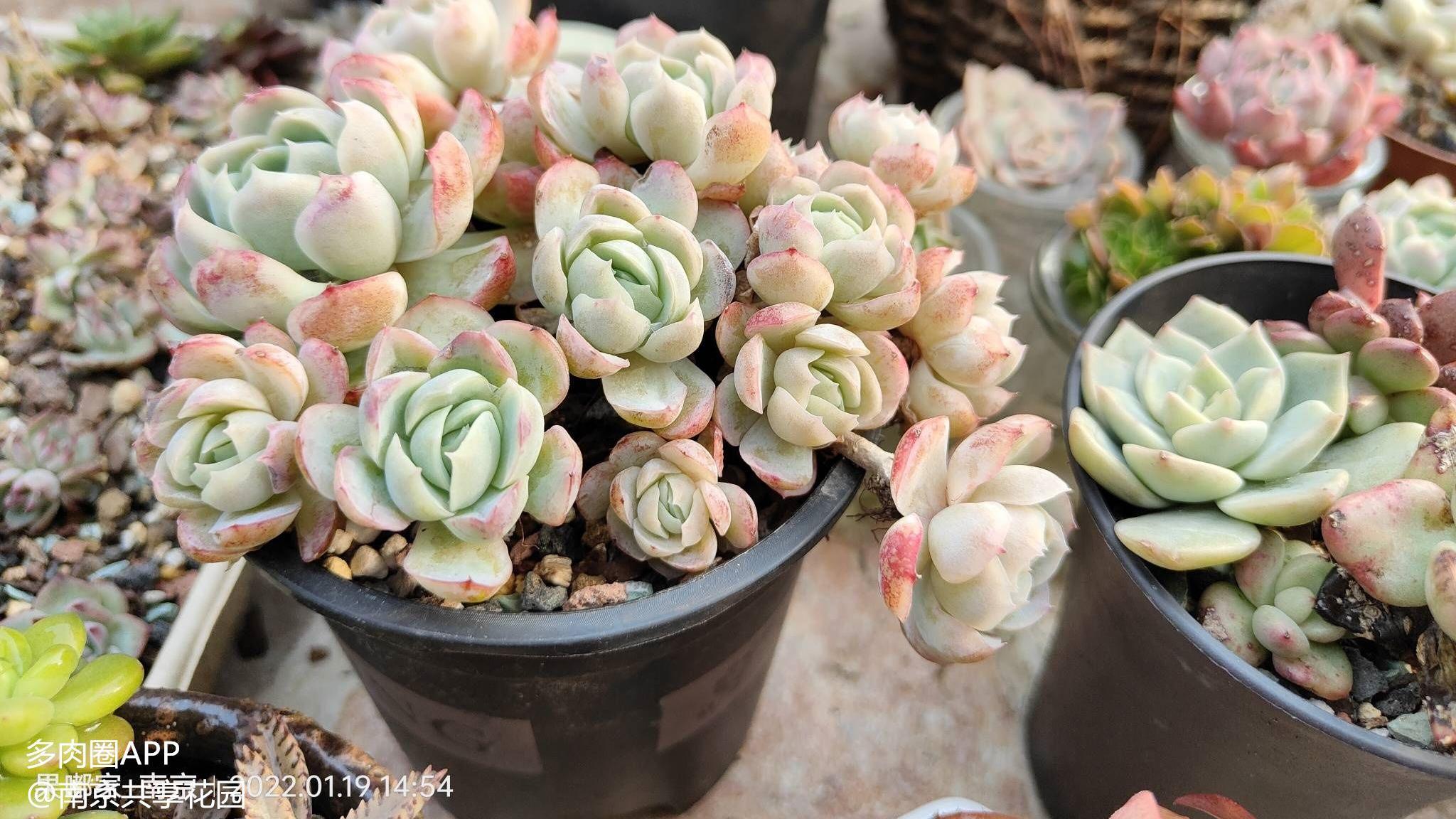 阳台党集合啦！听说还是朝南的阳台更香喔！