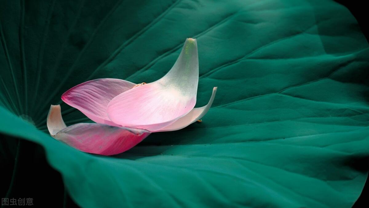 2个很实用的摄影色彩技巧，让你的照片轻松出彩！