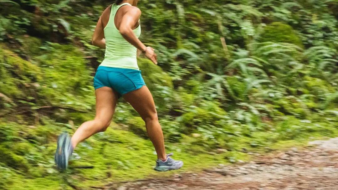 饮食|健康的“保护神”：是慢跑，而不是快跑