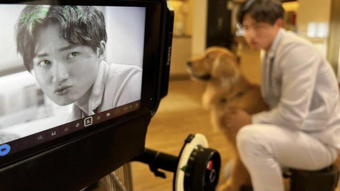 哥斯拉大战金刚2|周嘉洛获TVB力捧，下半年将有4部新剧播出，新剧被改名直言不知情