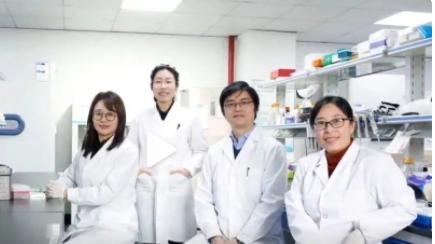 鹰嘴豆 中国科学家发现热疗减肥新办法