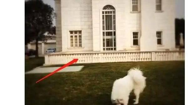 乔欣|“富家千金”乔欣，签约杨天真却坐冷板凳，靠耿直发言大获观众缘