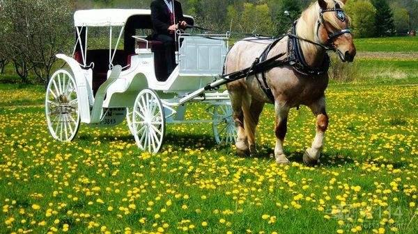 职业教育|一个长期单身的女子总是在亲近撩拨你，你应该懂得她不是为了爱情