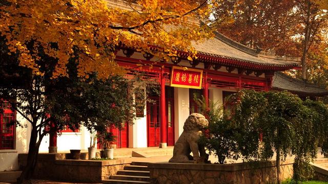 黑龙江|西安一大型公园走红，风景优美还是陕西之最，门票免费值得一去